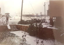 חצר זנבר 90 91